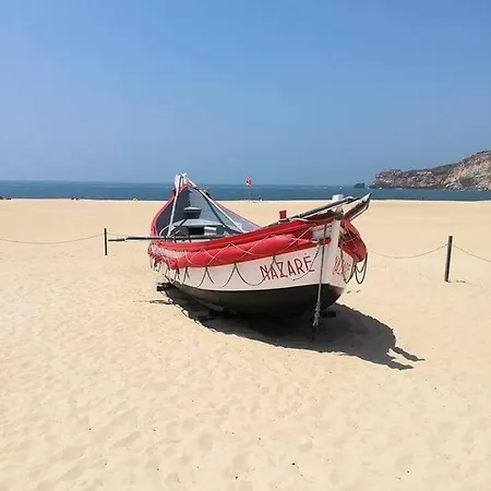 Nazondas Ap *